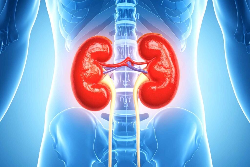 علاج أمراض المسالك البولية – رعاية دقيقة لصحة الجهاز البولي